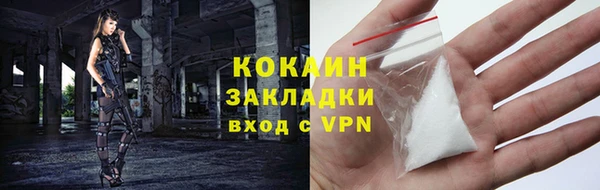 меф Няндома