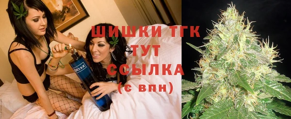 меф Няндома