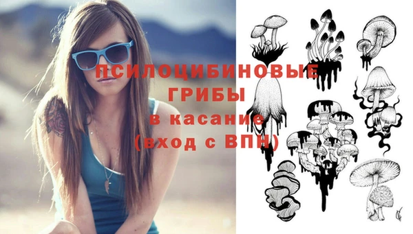 бутират Мензелинск