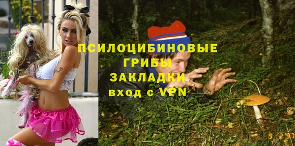 меф Няндома
