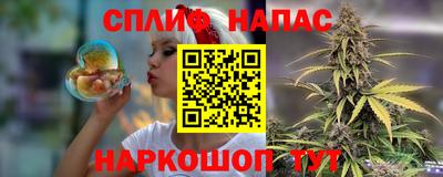 молекула духа Берёзовский