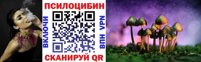 закладки  Крымск  Псилоцибиновые грибы прущие грибы 