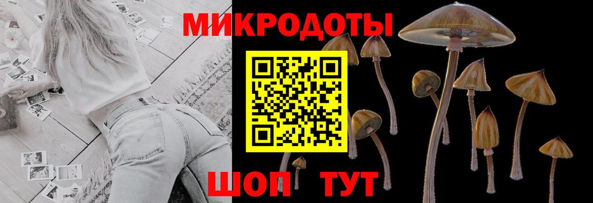 Крымск  Галлюциногенные грибы Psilocybe  даркнет сайт  Галлюциногенные грибы Psilocybe  Вход с VPN 