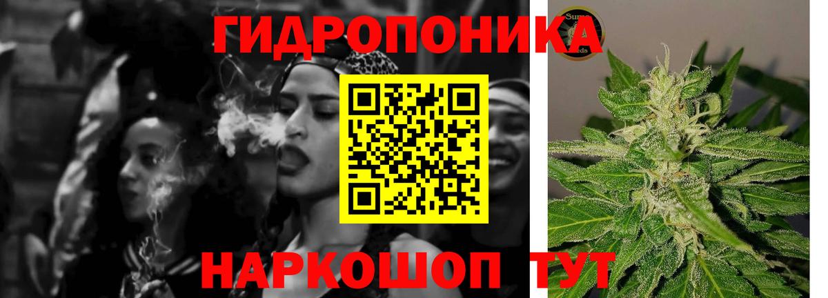 Каннабис план Крымск